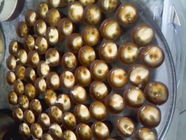 Copinho de chocolate com Mousse de Maracujá